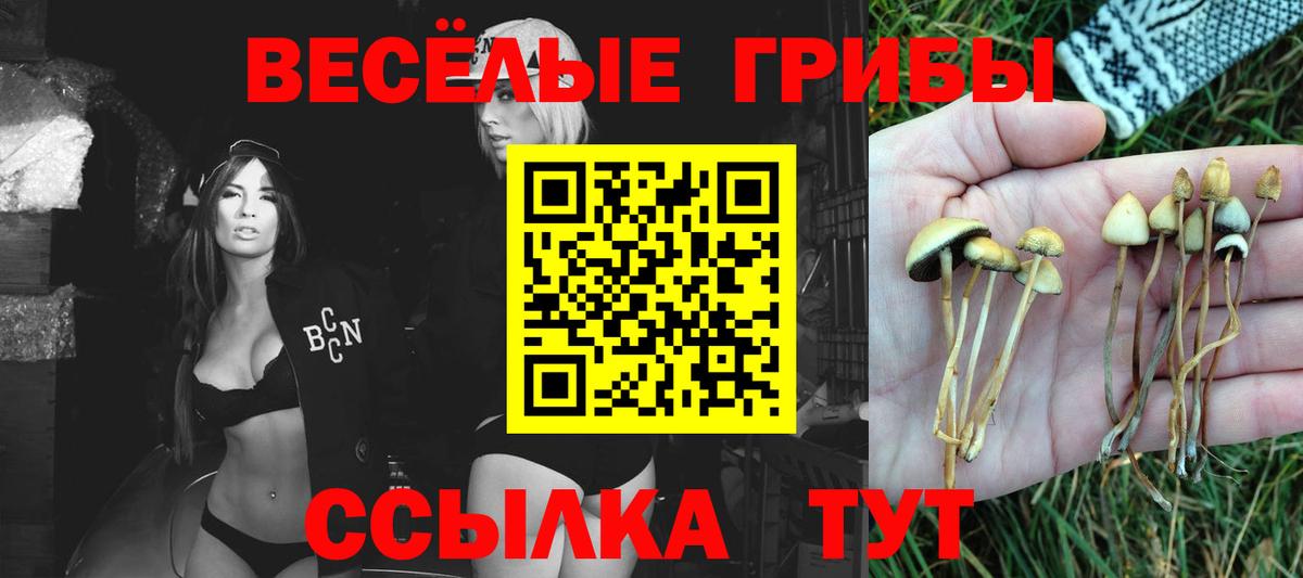 Галлюциногенные грибы Cubensis  Псилоцибиновые грибы прущие грибы  Вход с VPN  Нефтекамск 